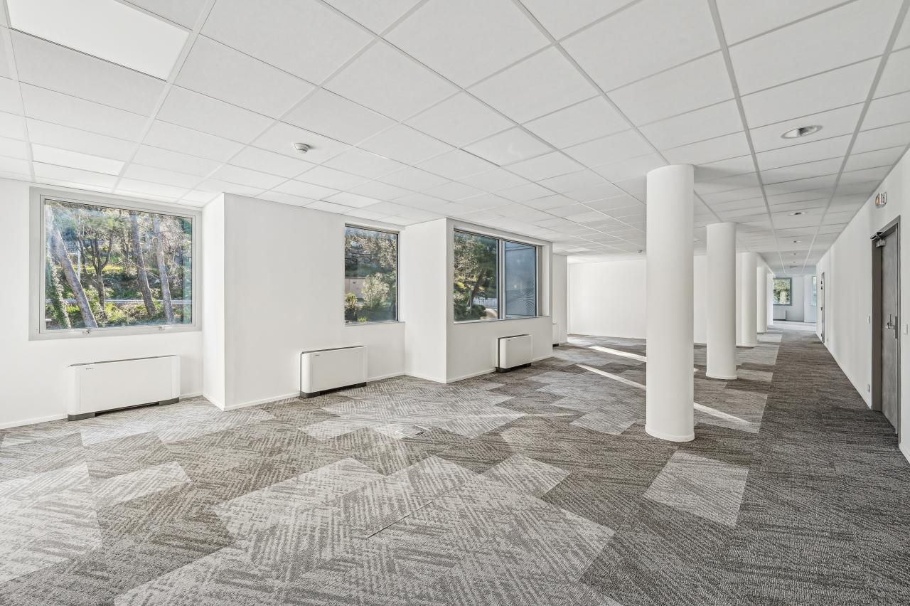 Bureau Biot 2105m² Location bureau Biot Alpes-Maritimes OLBUR2115387 8